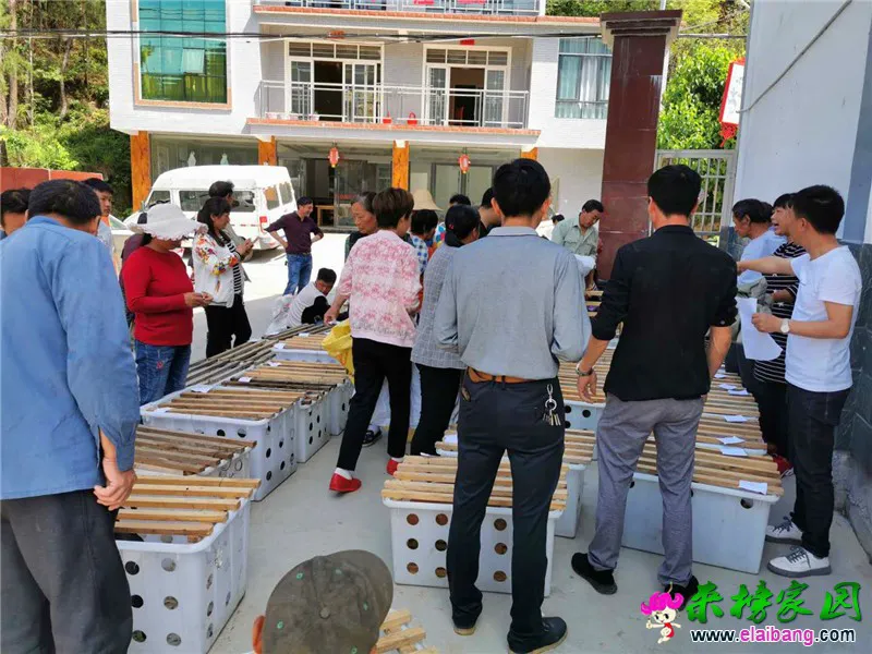 微信图片_20200526155340.webp