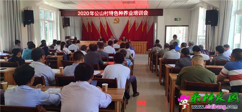 微信图片_20200526155357.webp