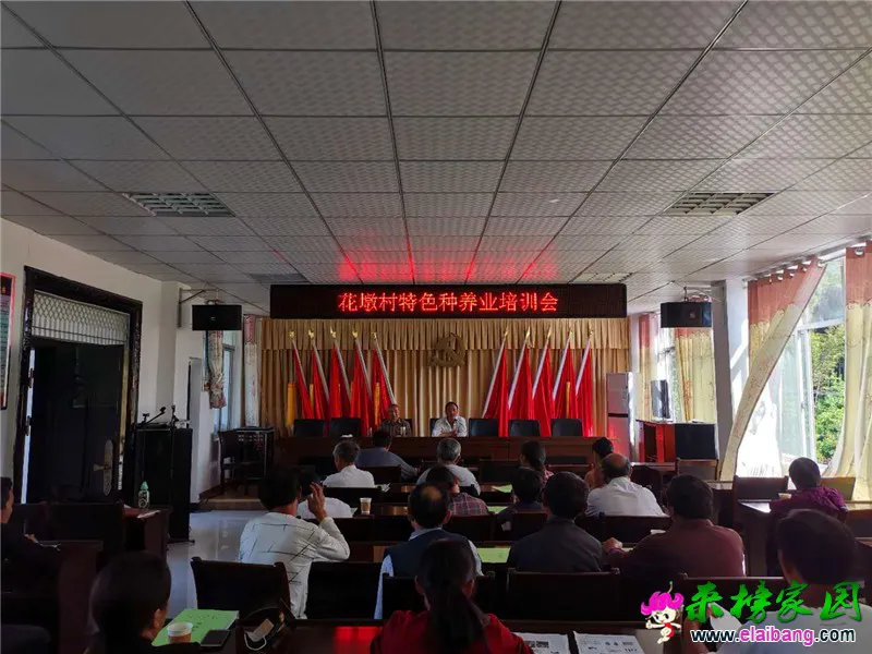 微信图片_20200527202522.webp