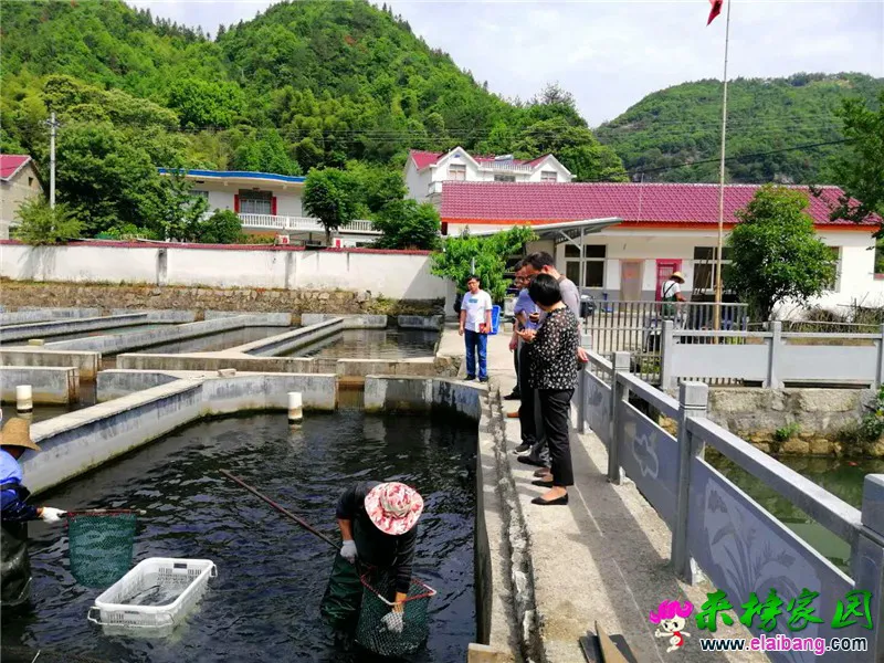 微信图片_20200527202540.webp
