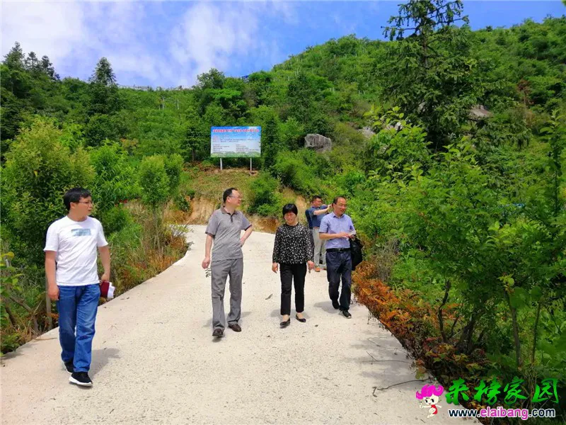 微信图片_20200527202538.webp