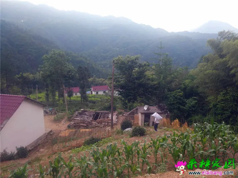 微信图片_20200527202604.webp