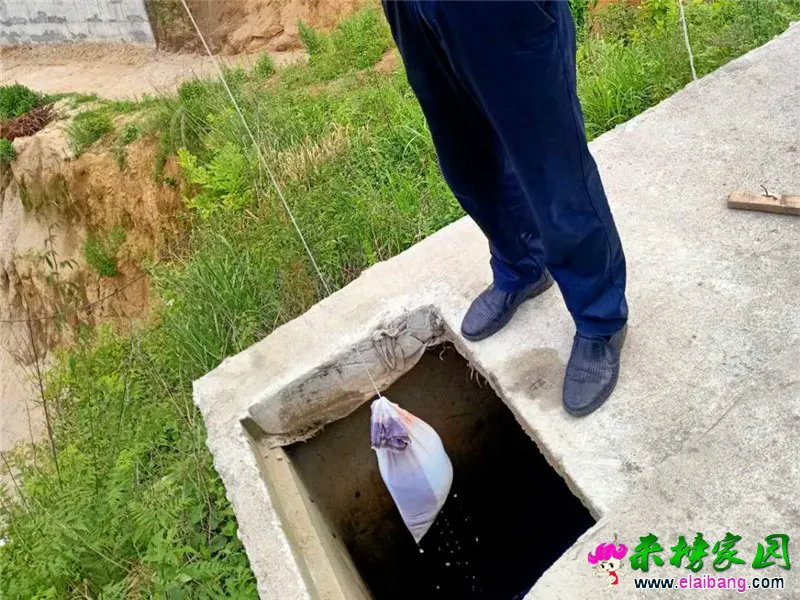 微信图片_20200527202545.webp