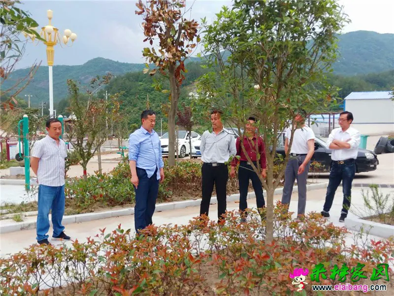微信图片_20200527202606.webp