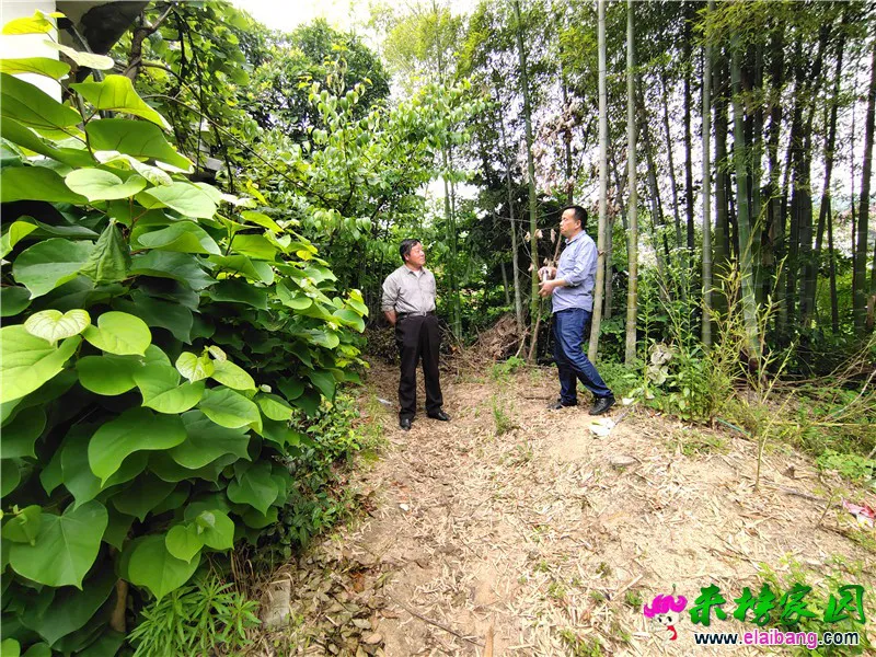 WeChat Image_20200528195332.webp