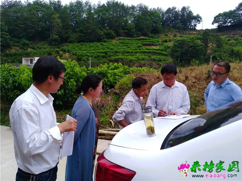 WeChat Image_20200528195341.webp