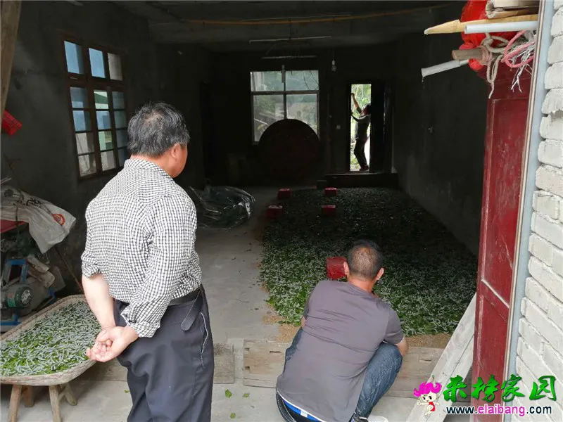 WeChat Image_20200528195322.webp