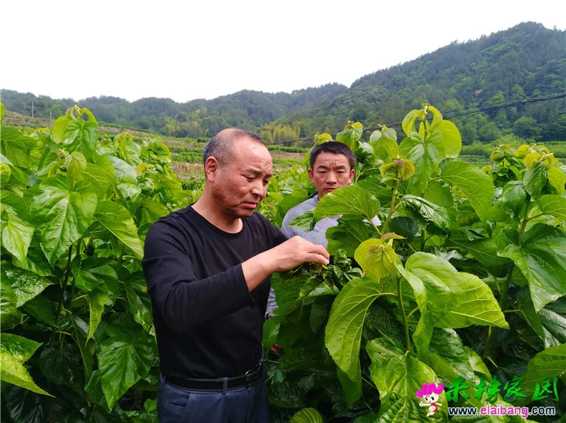 WeChat Image_20200528195348.webp