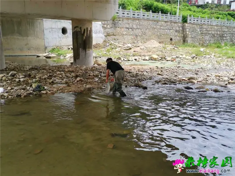 微信图片_20200530202050.webp