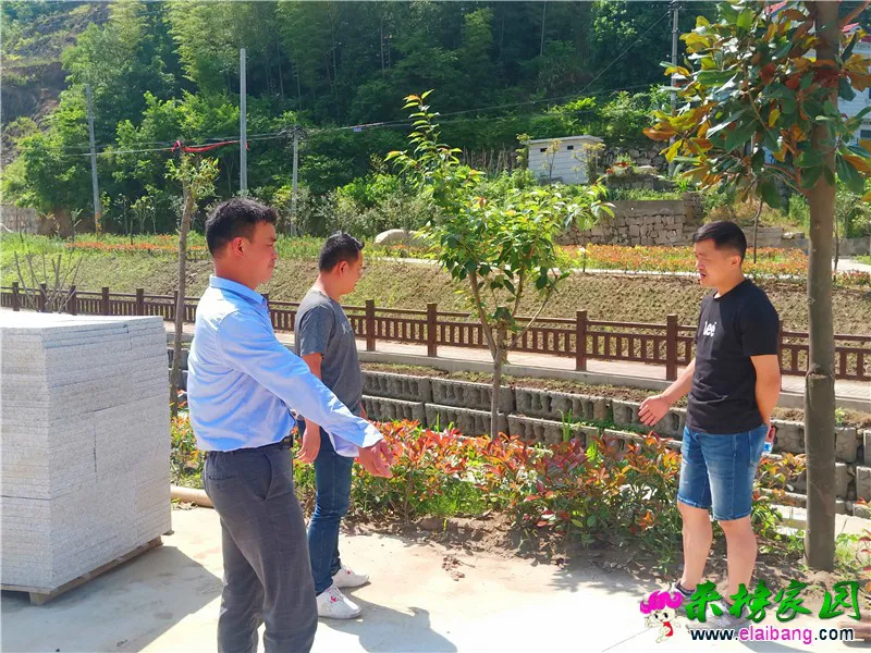 微信图片_20200531203637.webp
