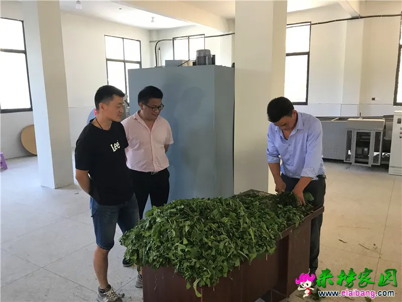 微信图片_20200531203632.webp