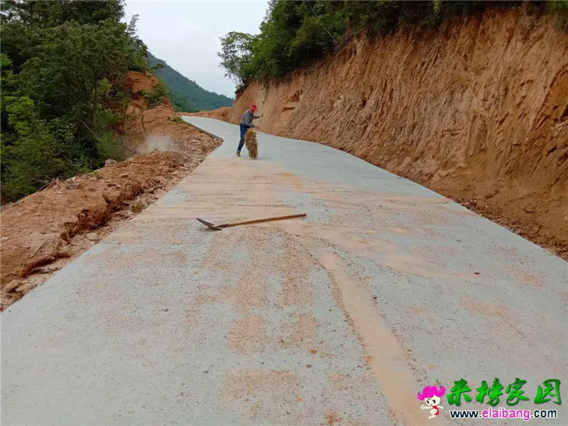 微信图片_20200531203647.webp