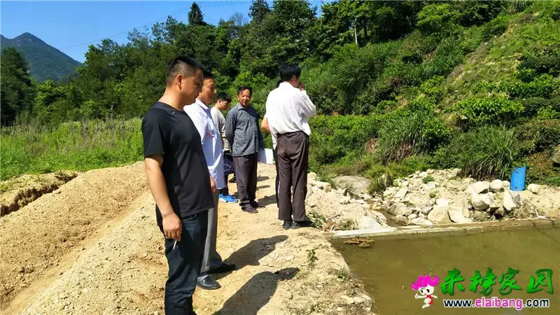 微信图片_20200601193212.webp