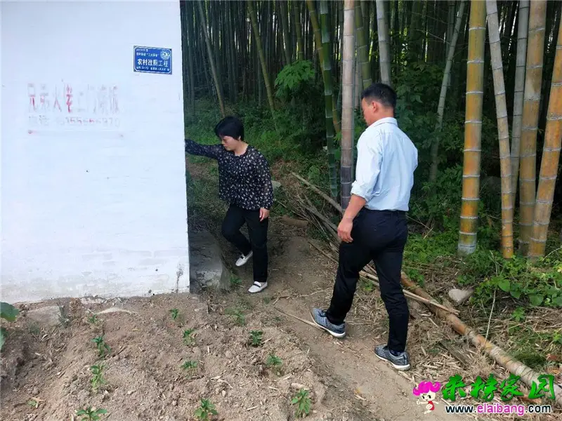 微信图片_20200601193246.webp