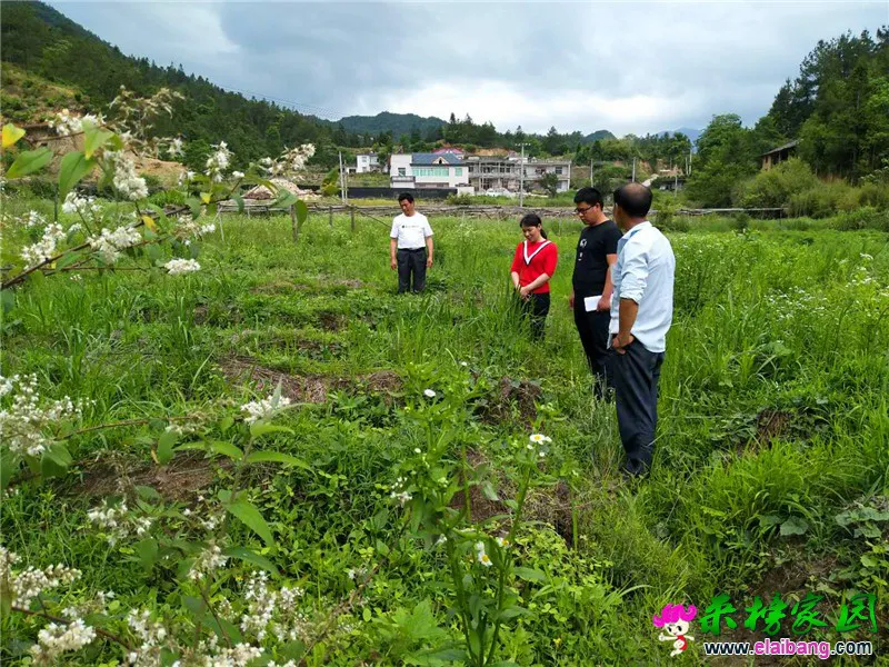 微信图片_20200603194917.webp