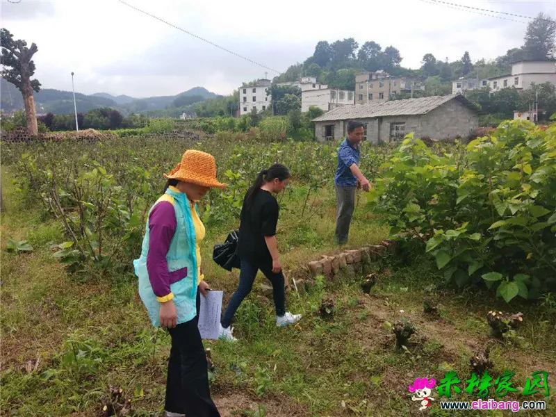 微信图片_20200604163456.webp