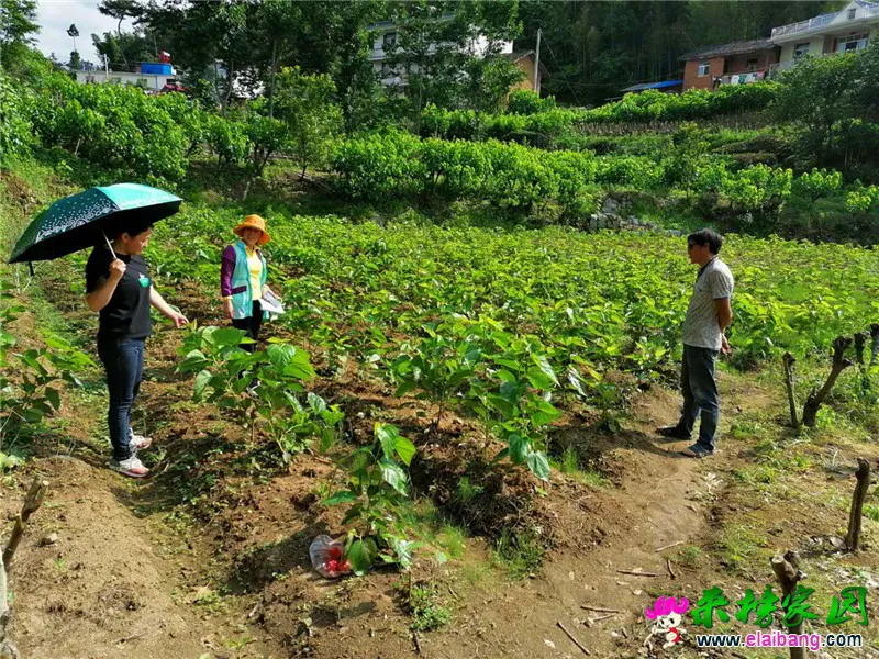 微信图片_20200604163524.webp