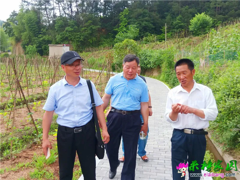微信图片_20200605203044.webp