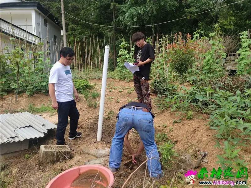微信图片_20200606203352.webp