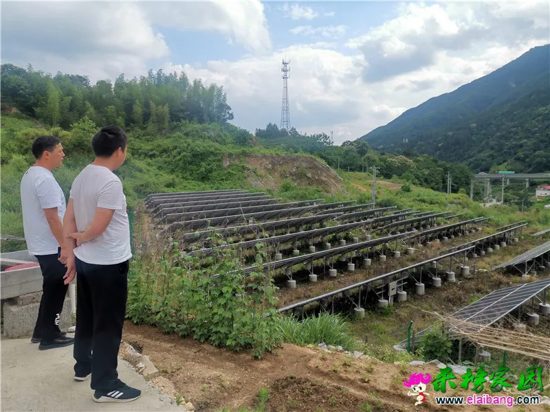 微信图片_20200608191830.webp