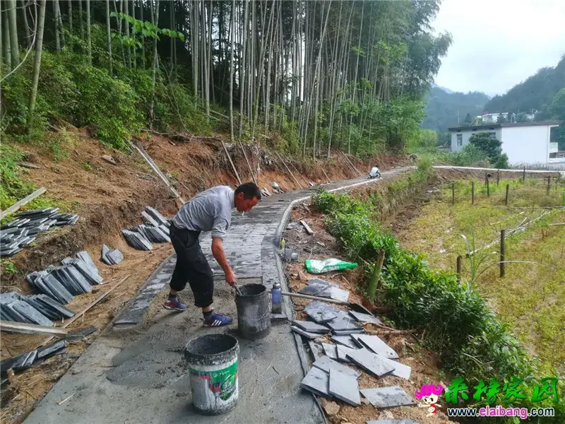微信图片_20200609222917.webp