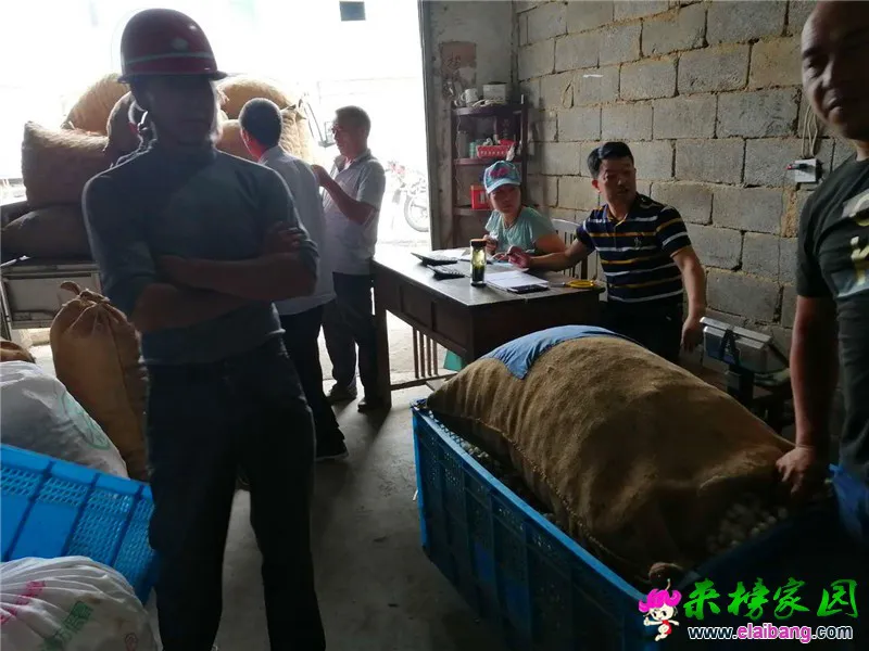 微信图片_20200610192616.webp