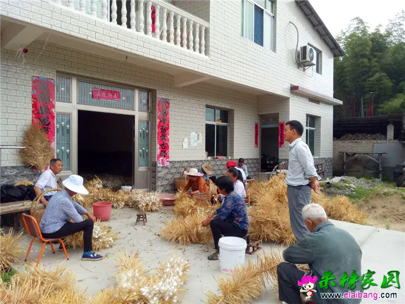 微信图片_20200611174937.webp