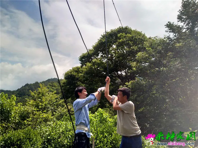 微信图片_20200611175103.webp