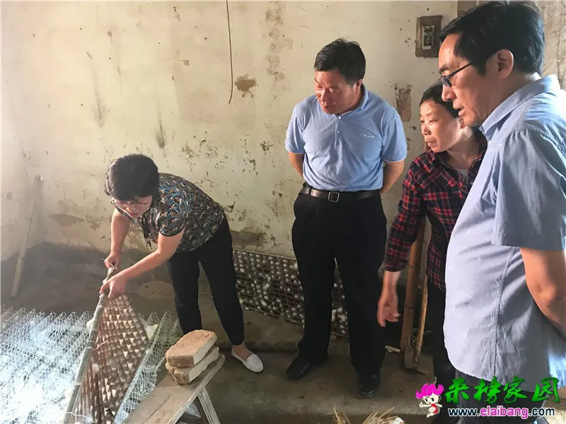 微信图片_20200611175141.webp