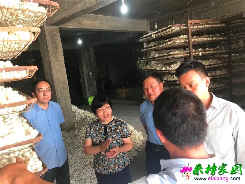 微信图片_20200611175137.webp