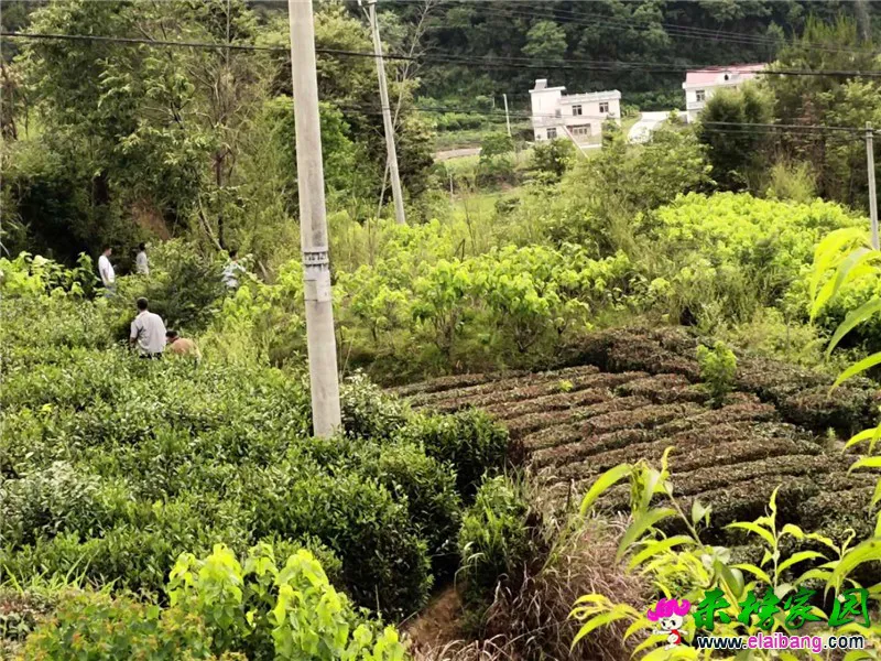微信图片_20200611175143.webp