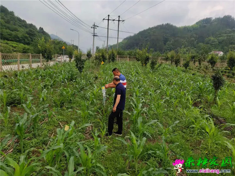 微信图片_20200612150807.webp
