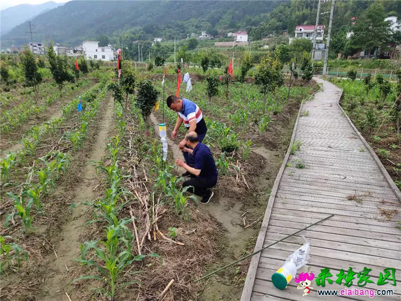 微信图片_20200612150814.webp