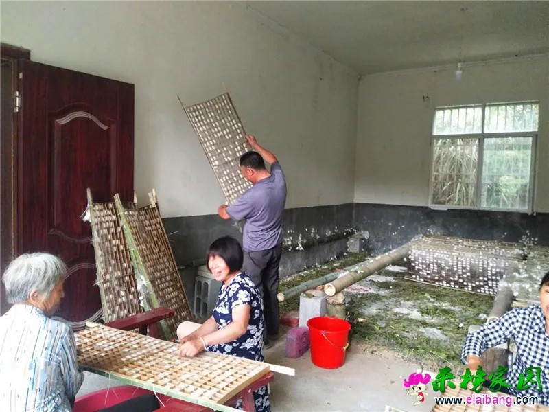微信图片_20200612150816.webp
