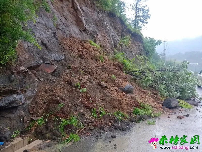微信图片_20200614090636.webp