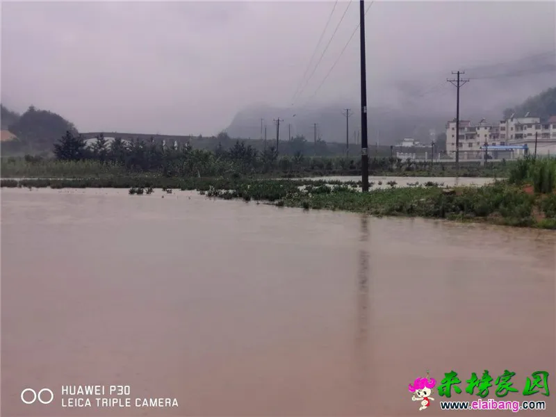 微信图片_20200614090612.webp