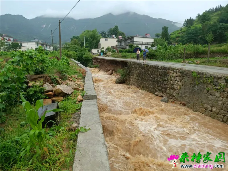 微信图片_20200614090621.webp