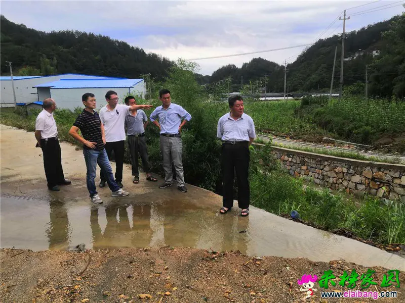 微信图片_20200614201859.webp