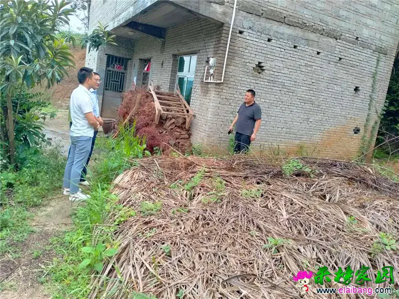 微信图片_20200614201852.webp
