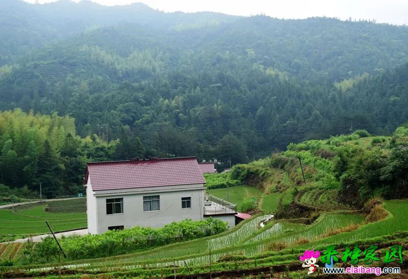 09014a486d1d170fe37052d464b4bce1.webp