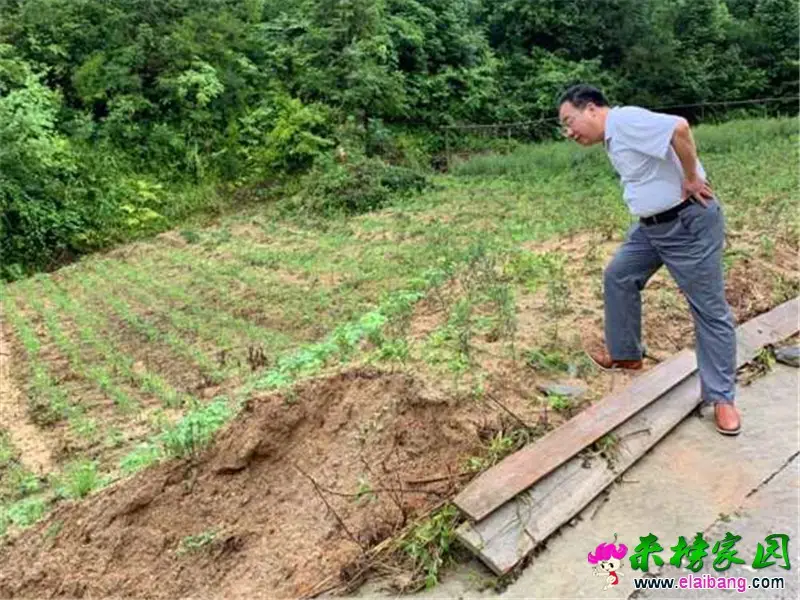 微信图片_20200616202530.webp