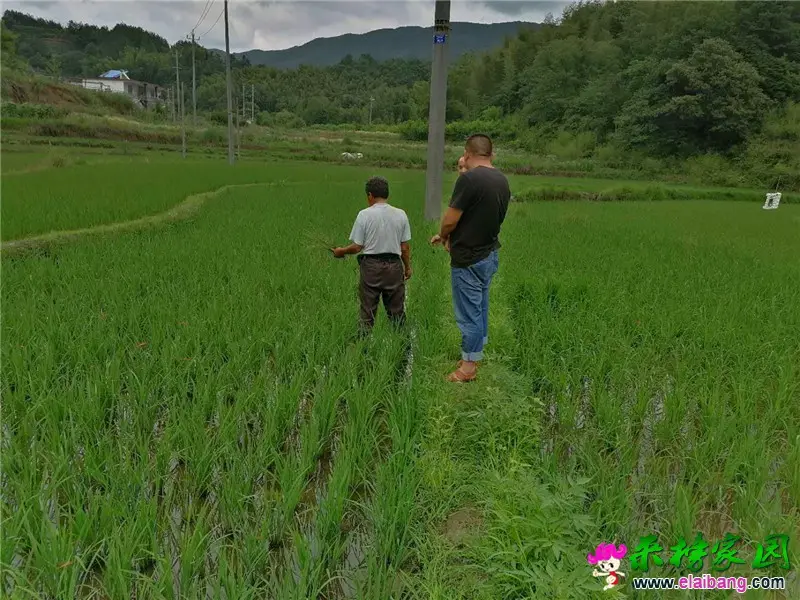 微信图片_20200616203405.webp