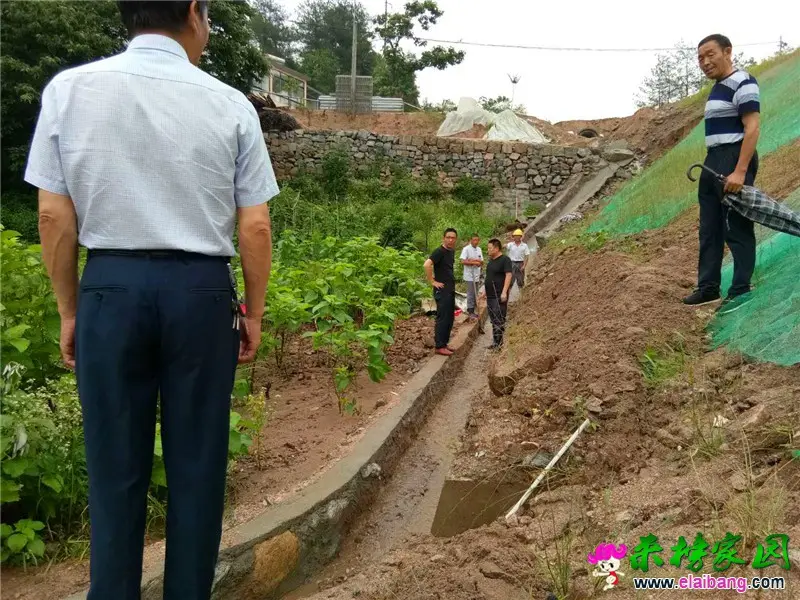 微信图片_20200616204105.webp