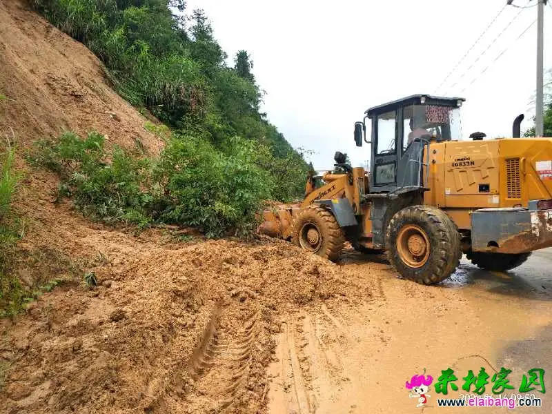 微信图片_20200616204122.webp