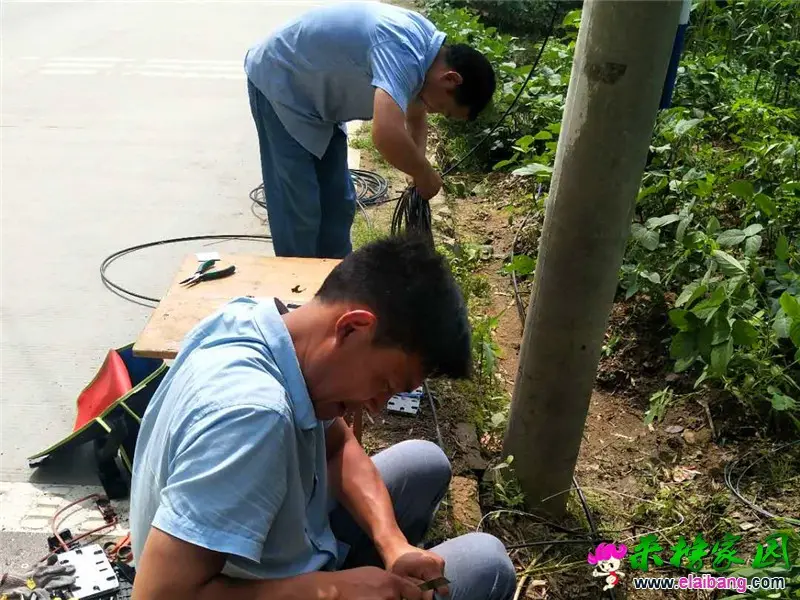 微信图片_20200616203418.webp