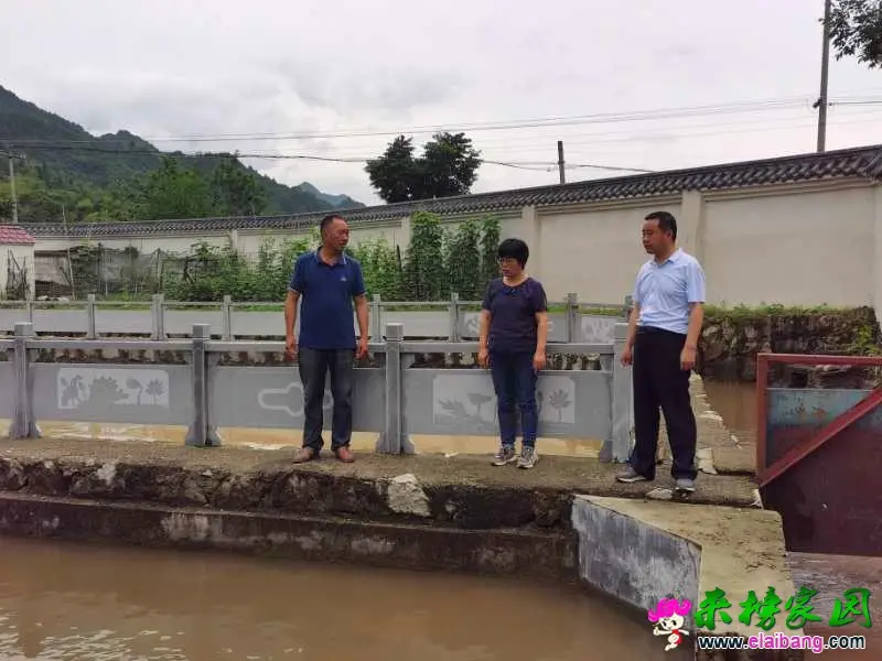 微信图片_20200616204139.webp