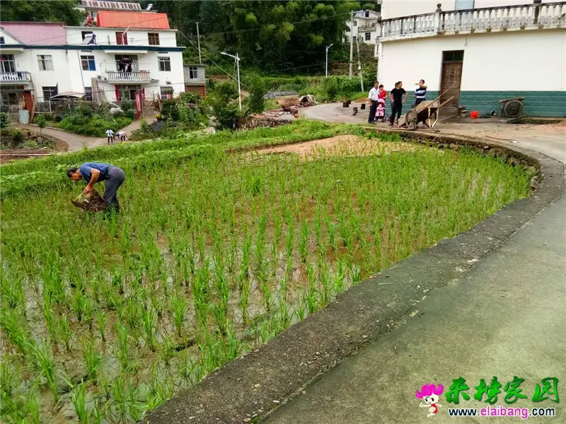 微信图片_20200616204109.webp