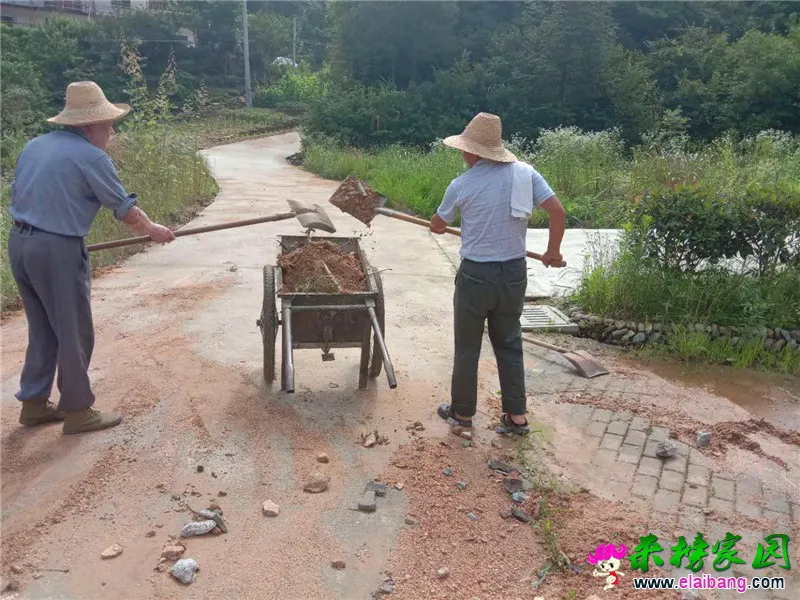 微信图片_20200617201021.webp