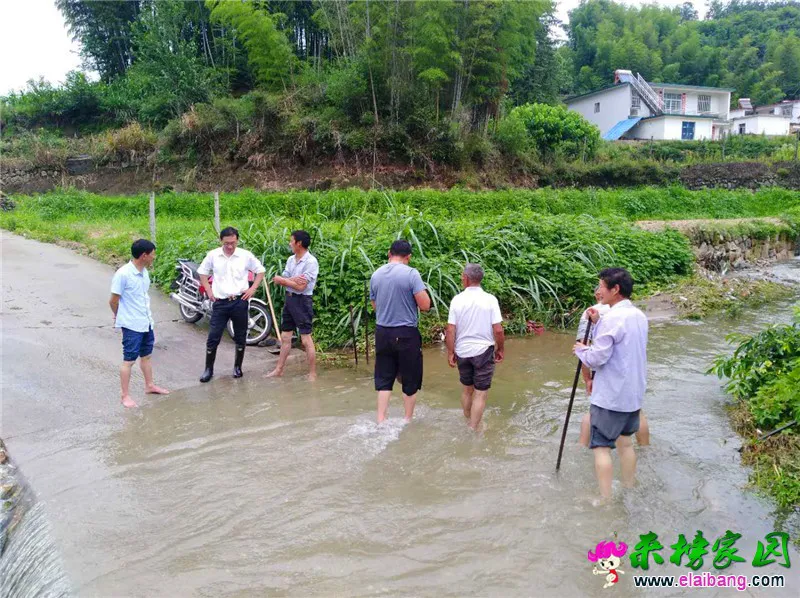 微信图片_20200617201050.webp