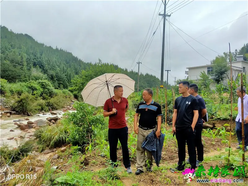 微信图片_20200618195229.webp